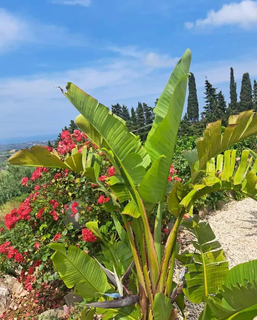 Vila Villasara Castellammare Del Golfo